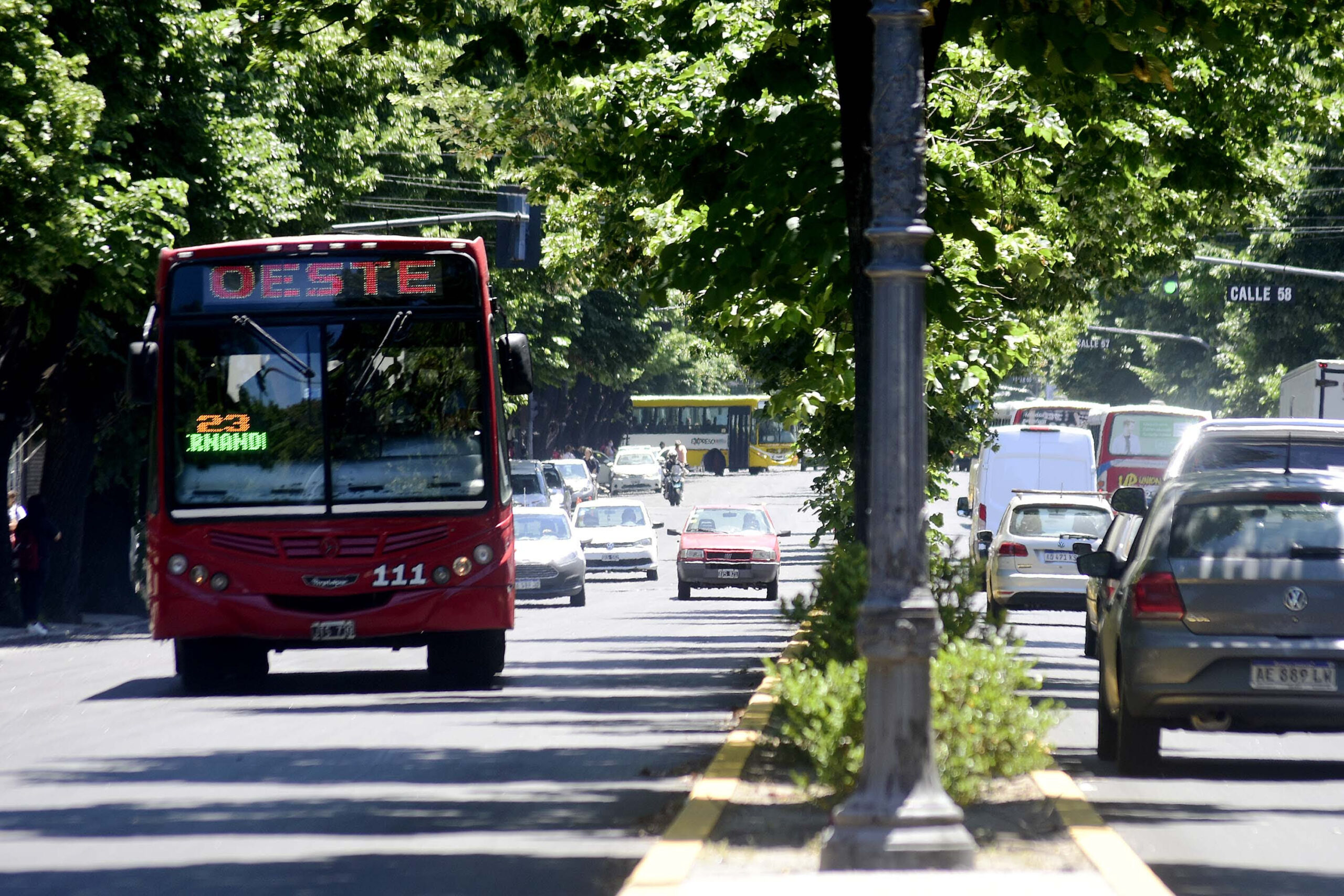 Transporte Público Gratis en La Plata para Facilitar el Voto en Elecciones 2025