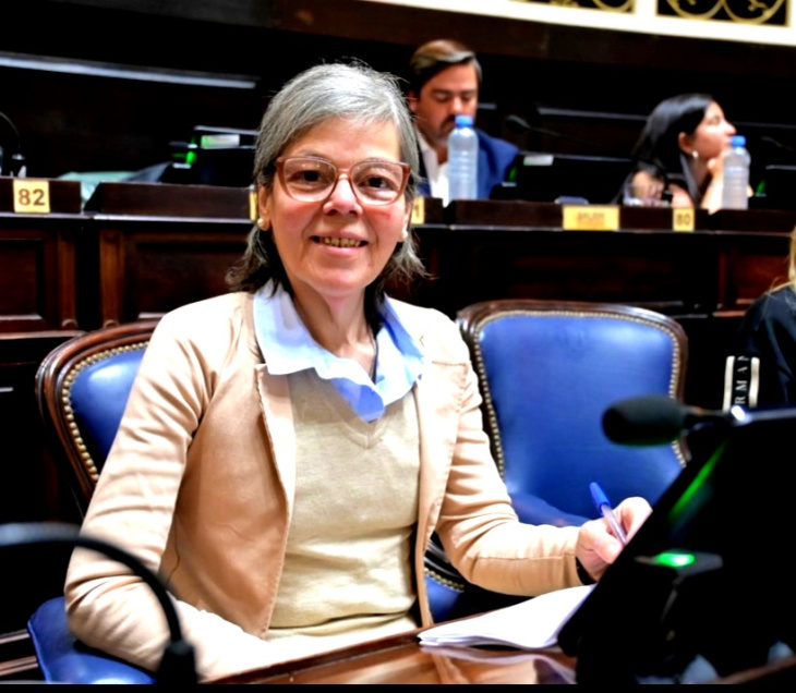 Sesión Cámara de Diputados Buenos Aires